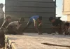 Palestine: The essence of childhood has been destroyed