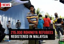 ‘Rohingya involvement in crime stands at just 0.02%’ – IGP