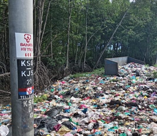 Kawasan hutan paya bakau Sungai Merbok jadi tempat pembuangan sampah / Merbok River mangrove forest turned into dumping ground dumping ground at Sungai Merbok mangrove forest reserve
